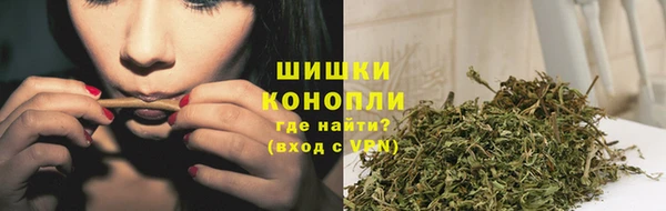 индика Беломорск