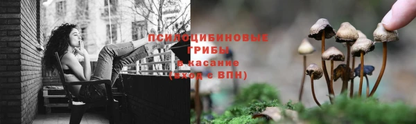 гашик Белокуриха