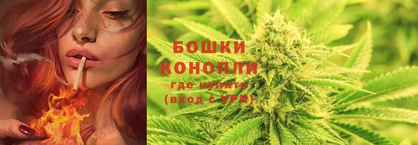 героин Богданович