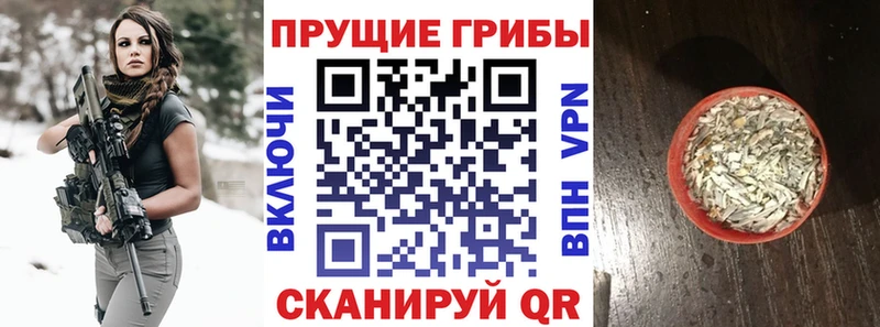 Галлюциногенные грибы MAGIC MUSHROOMS  Бугульма 
